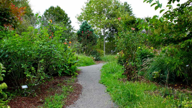 Iturrarango Lorategi Botanikoa