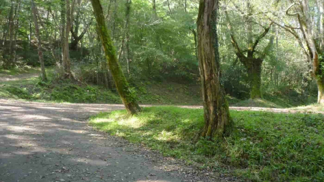 Manterolako aparkalekua