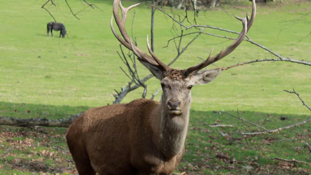 SL-Gi 4002 Ruta de la fauna