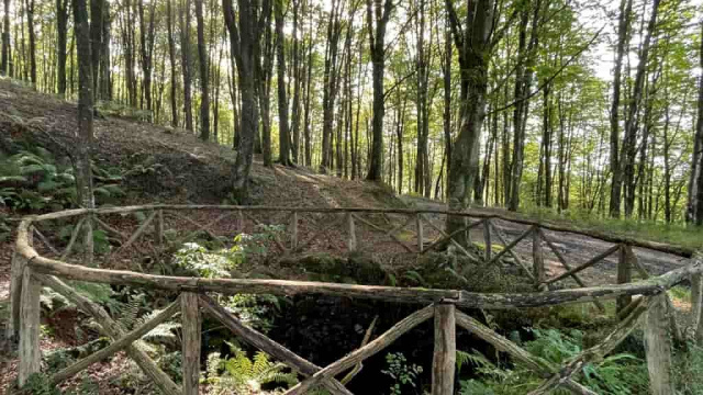 SL-Gi 4003 Tejo de Pagoeta