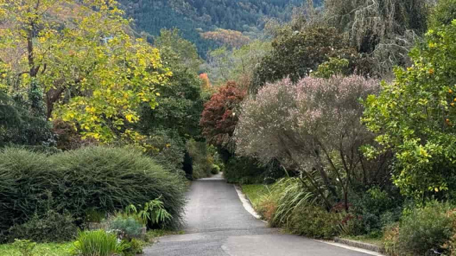 GR 35 E01 Ruta Altxonbide: Zarautz - Bidegoian